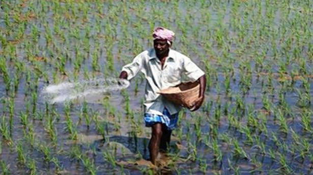 Odisha seeks immediate supply of fertilisers for ongoing crop season