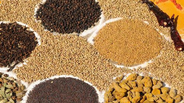 Spices Board inks deal with UNDP to develop blockchain-powered traceability interface