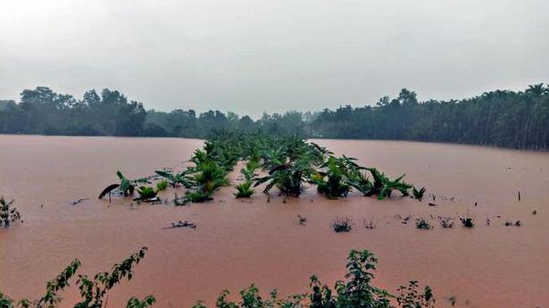 Heavy rains lash Malnad; Tunga, Bhadra in spate