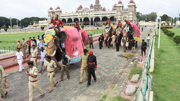 Dasara elephants offered ceremonial welcome at Mysuru palace