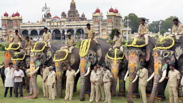Dasara elephants bid adieu to Mysuru, return to their jungle camps
