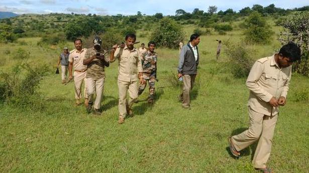 Wildlife board member questions transfer of anti poaching personnel at Bandipur