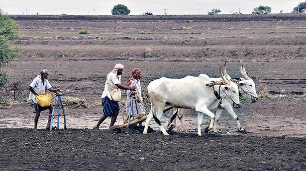 Now, loans taken from licensed private moneylenders also come under farmer suicide compensation scheme