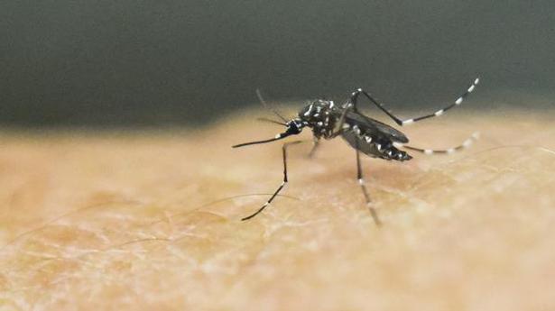 First Zika virus case in Maharashtra reported