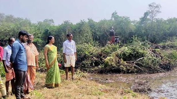 Mangrove deforestation continues unabated in Kannur