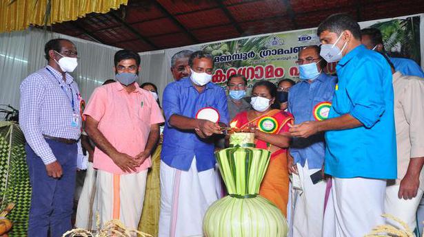 15 lakh coconut saplings to be planted next year