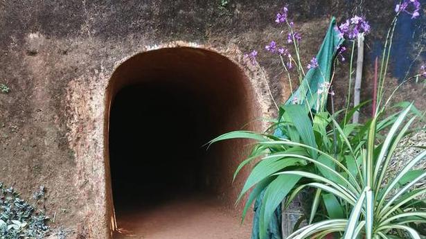 National News: With just a pickaxe, Kerala farmer carves out a tunnel