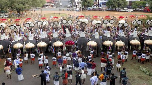 Two killed as tree falls on procession at Thrissur Pooram