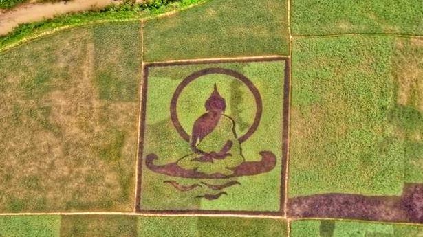 Why this Wayanad farmer came out with a ‘paddy art’ depicting Buddha