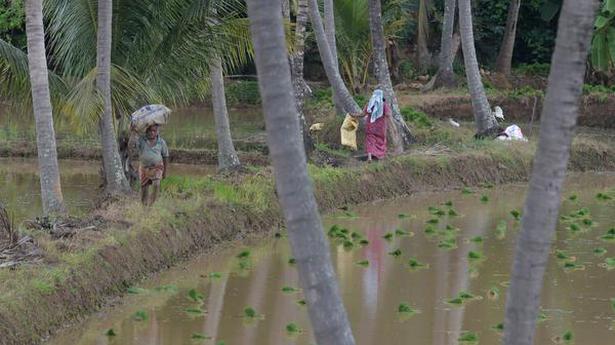 Southwest monsoon: Five Kerala districts on orange alert