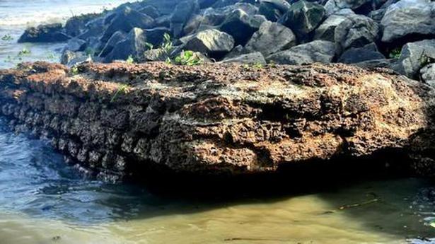 Centuries-old Laterite structure emerges along Fort Kochi beach