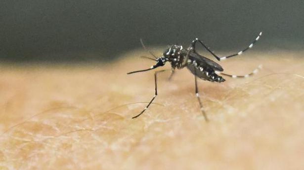 Five more Zika cases confirmed in Thiruvananthapuram