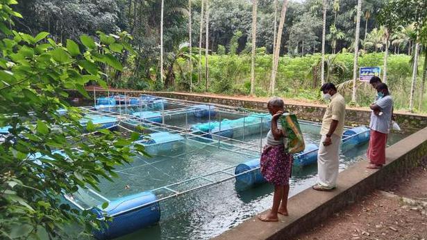 How this village in Kerala is scripting a success story through aquaculture