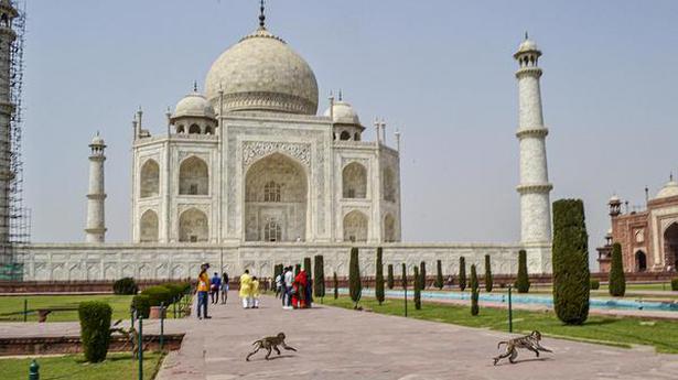 ASI to take up conservation work in Taj Mahal, Agra Fort during closed period