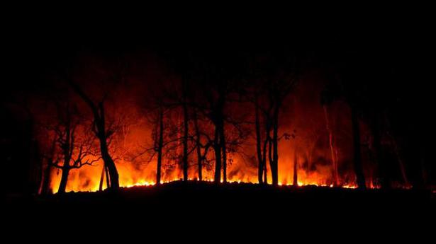 Centre sends team to Odisha to tackle forest fires in Simlipal