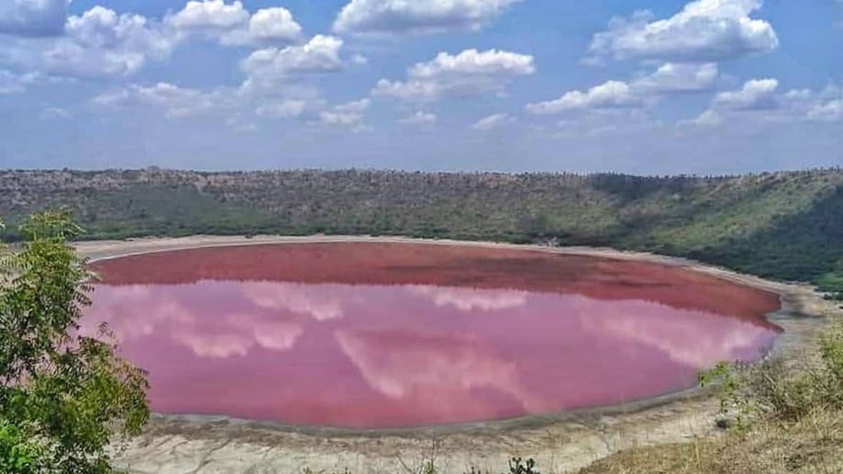Maharashtra's Lonar lake colour changes to pink; experts, locals ...