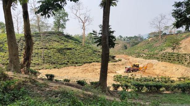 Probe into digging, construction activities on Kaziranga animal corridors