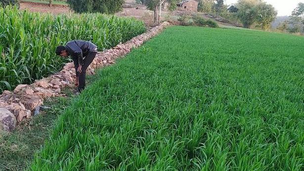 Sustainable farming creates new livelihood sources in Rajasthan villages