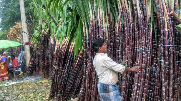 In U.P., BJP lays hopes on hike in sugar cane prices