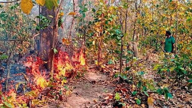 Massive fire threatens to cause colossal damage to Similipal Biosphere