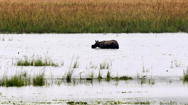 Floods hit 5 districts in Assam