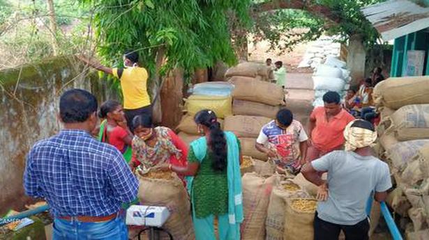 New market brings hope to Odisha’s turmeric farmers