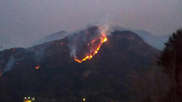Centre orders deployment of NDRF teams, helicopters in Uttarakhand to tackle forest fires
