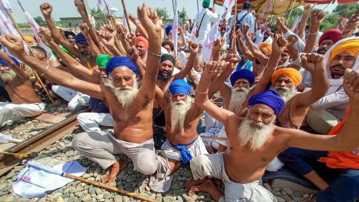 Why is there an uproar in Punjab-Haryana over the paddy, what will be the impact of the Centre's decision?