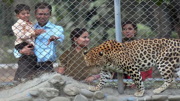 Coronavirus | Zoos closed in Himachal, Punjab, alert sounded