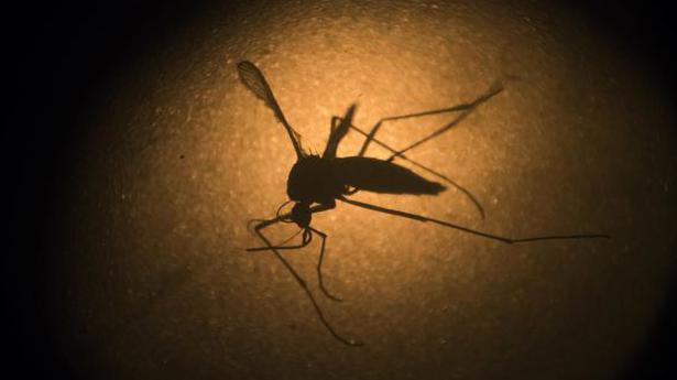 National News: Zika cases reported in Lucknow