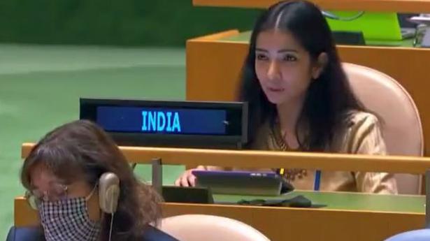 Pakistan is 'arsonist' disguising itself as 'fire-fighter': India at UNGA
