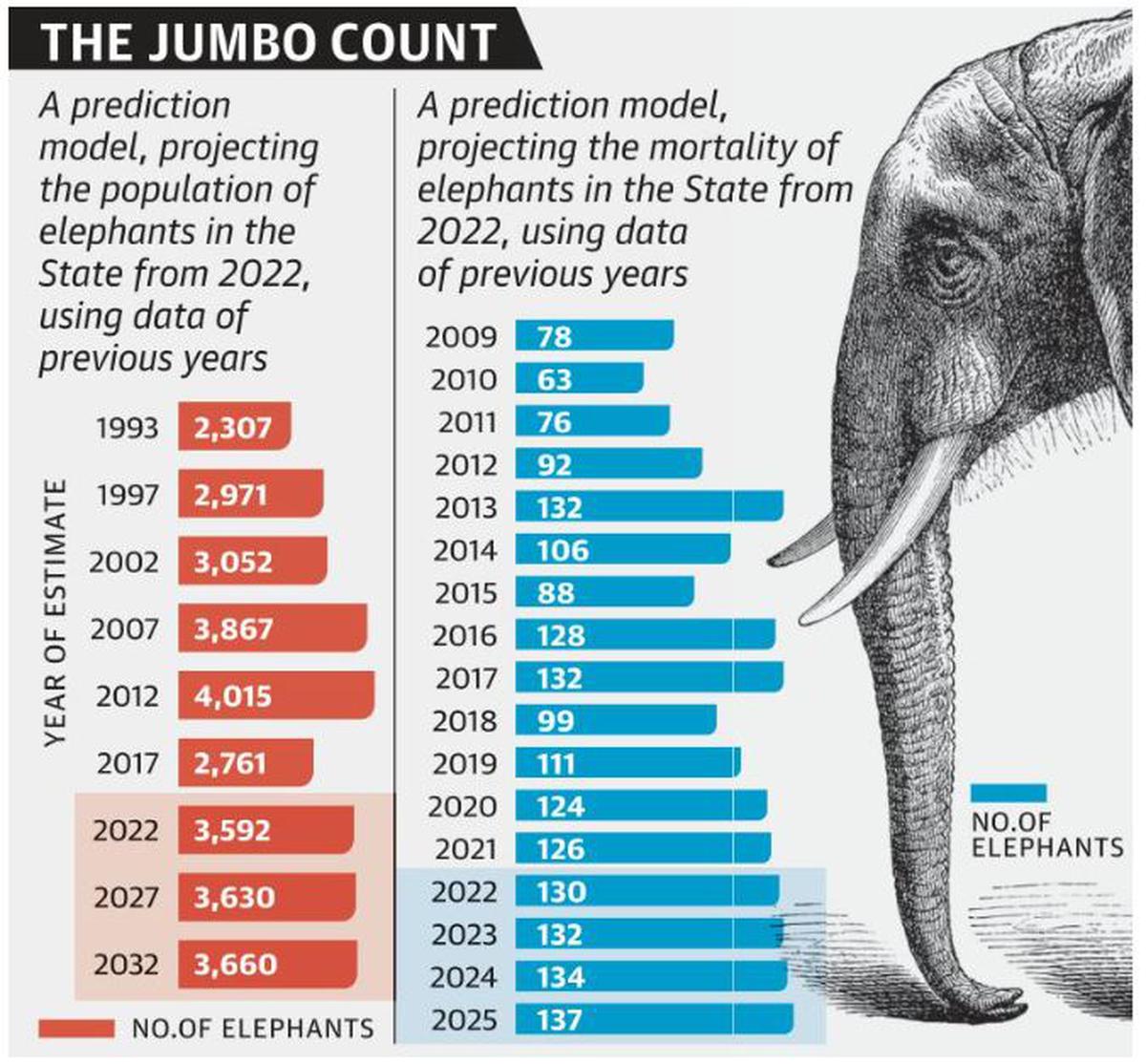 elephant-population-deaths-estimated-in-tamil-nadu-bharat-times