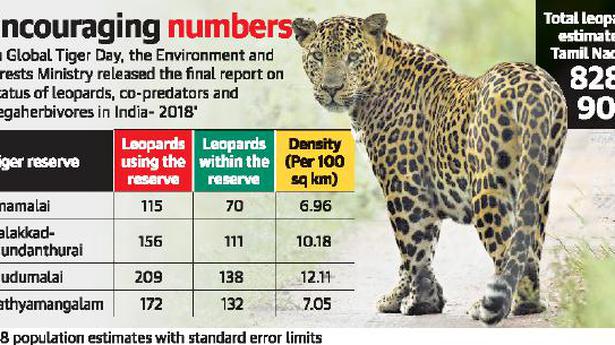 Srivilliputhur sanctuary has the highest leopard density in Western Ghats: report