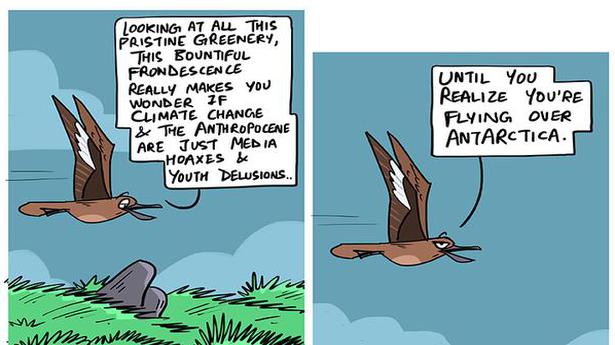 Rohan Chakravarty’s new book ‘Green Humour for a Greying Planet’ conveys hard truths on conservation in comic strips