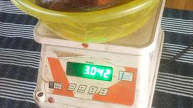 Ambergris worth ₹8 cr. seized in Tiruvarur