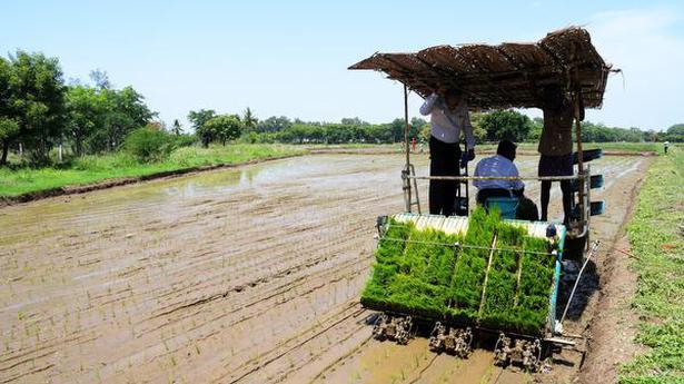 Cultivating paddy, with all help from machines