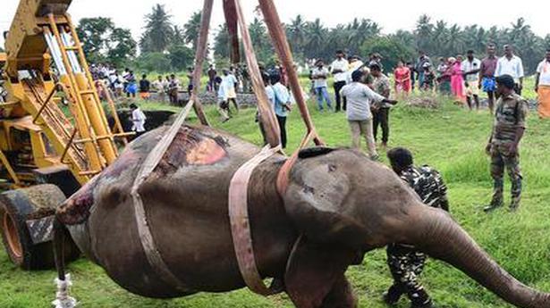 Loco pilots booked for elephant deaths