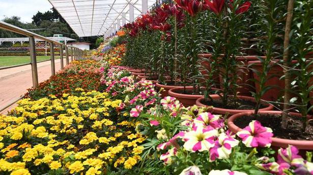 You can enjoy the 2021 virtual Ooty flower show from anywhere in the world