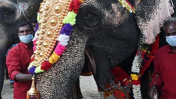 Cataloguing of captive elephants completed, PCCF tells High Court