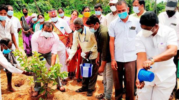 Massive tree planting drive launched in Tirupattur district