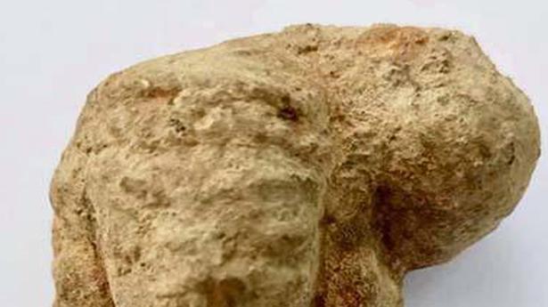 Head of a terracotta woman figurine with hair-bun found