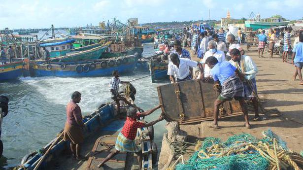 After annual ban ends, fishermen return to shores, but claim poor catch