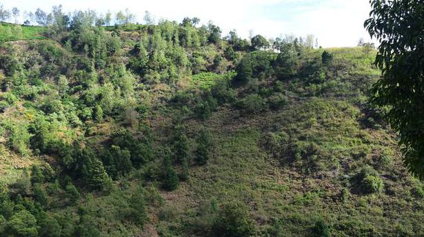 TN to have a draft policy soon to clear invasive plant species from its forests