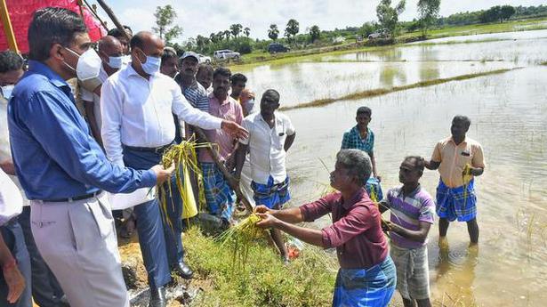 Central team inspects rain-affected areas in Cuddalore