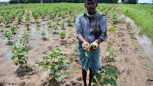 Crops over 25 lakh acres worth ₹ 8,633 crore lost in unseasonal rains: Revanth