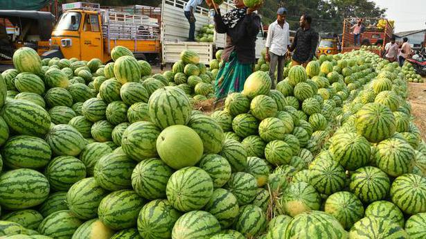Gaddiannaram fruit market to be shifted