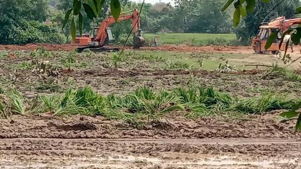 Crop ploughed over, land forcibly taken for R&R Colony