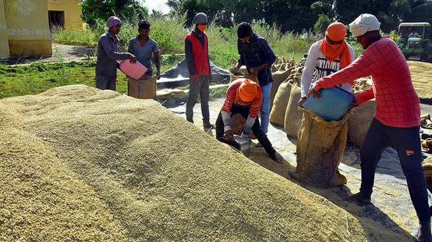 Farmers feel the pinch due to delay in paddy procurement