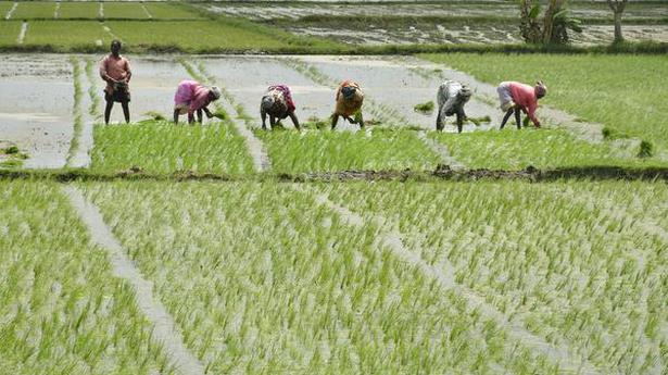 ‘Agriculture budget’ exercise begins in Rajasthan