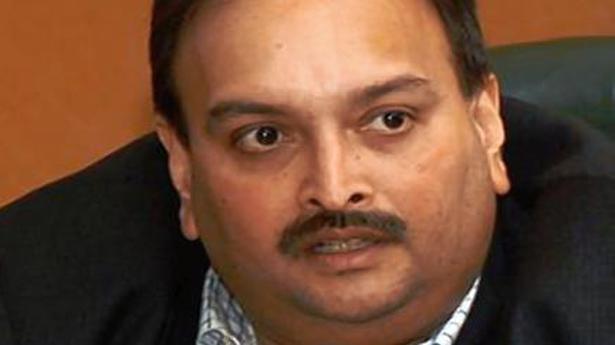 Choksi lands in Antigua and Barbuda after getting bail in Dominica